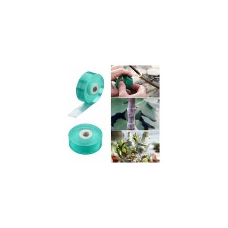 Confezione da 2 nastri per innesto per alberi da frutto, larghezza 20 mm, barriera anti-umidità biodegradabile, nastro trasparente elastico per fioristi - Crezuo (1/4)