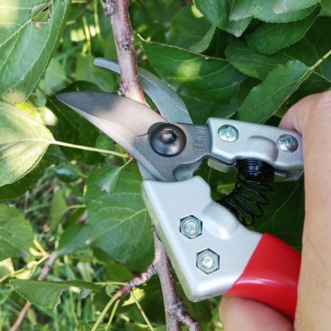 Gartenschere für Gartenpflanzen, Bäume und Äste, manuelle Gartenschere, Zubehör (1/5)