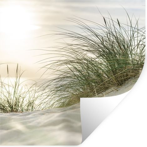 ADHESIVO DE PARED Dunas con hierba de playa bajo el sol del parque nacional alemán Schleswig-Holsteinisches Wattenmeer 50x50 (1/5)