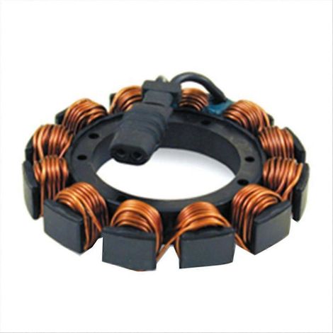 Compatible avec les bobines de stator de moto (1/5)