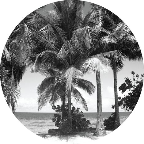 papier peint panoramique rond adhésif paysage tropical avec des palmiers noir et blanc - Sanders & Sanders (1/5)