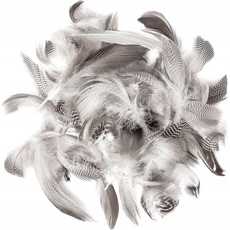 Plumas decorativas de pato de 5-12 cm, 5 g (1/5)