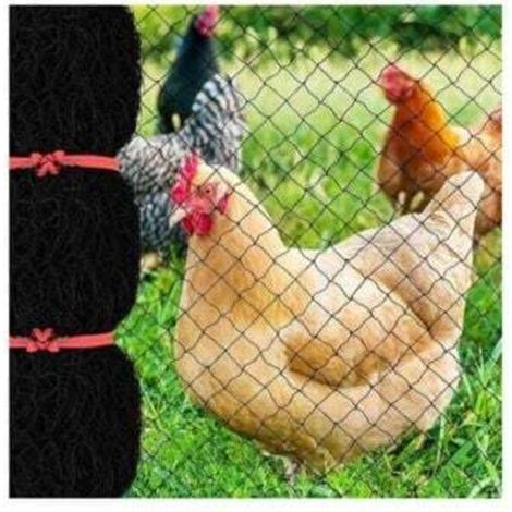 7.6 x 15.2 m bird netting with 2.5 cm square mesh, reusable garden netting for chicken coops, nylon poultry netting for deer fencing to protect fruit trees from light