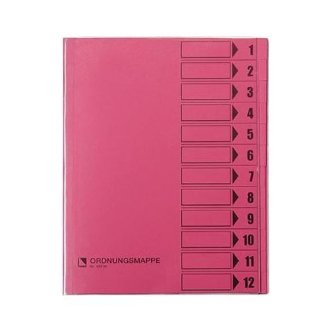 Bene Ordnungsmappe 83800RS DIN A4 12Fächer rosa (1/2)