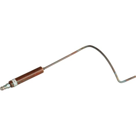 Électrode d'Ionisation GS 150/190 CHAPPEE T.G3 - S58252499