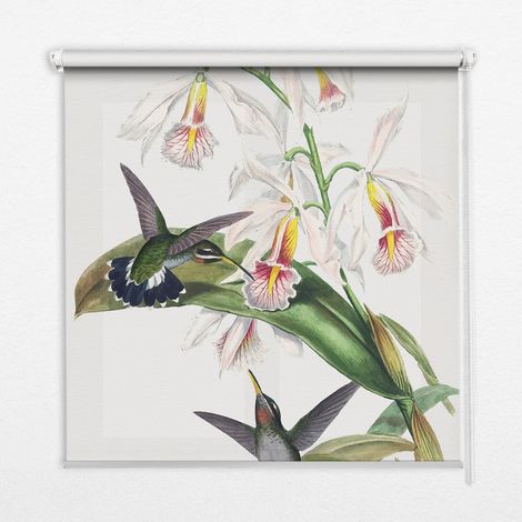 Innenrollo Fensterrollo - Rollo ohne Bohren - Sichtschutzrollo - Lichtdurchlässiges Rollo - Rechteckiges - Rollo - (90 cm x 140 cm) - Vögel auf einer Blume (1/5)