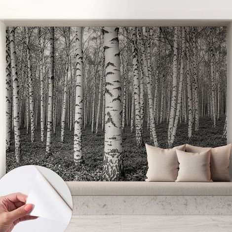 Tapete adhésive moderne pour salon et chambre à coucher Décoration rapide avec colle Forêt de bouleaux 208x146 cm (1/5)