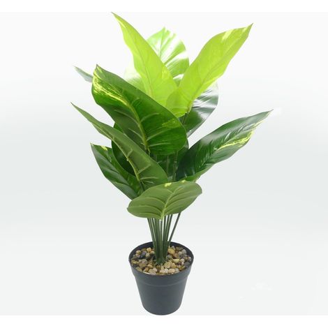 PIANTA ARTIFICIALE STERLIZIA 50 CM (1/5)