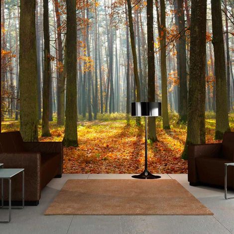 Papier peint arbres d'automne - 400 x 309 cm (1/4)