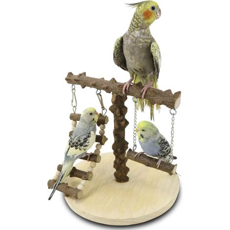 Support pour cage à perroquets inséparables, balançoire, échelle d'escalade, jouet d'entraînement pour oiseaux, support pour cage