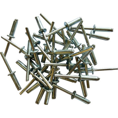 Sachet de 250 rivets acier standards de 6.4 x 22
