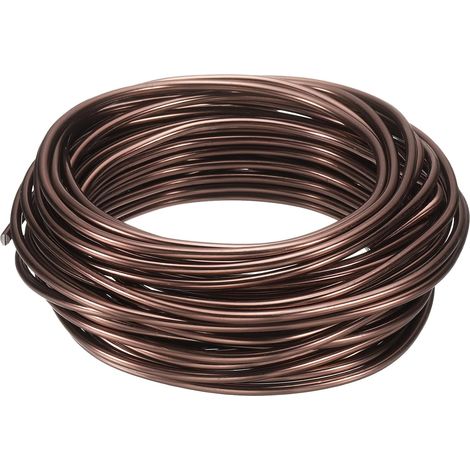 Fil Pour Bonsaï Aluminium Anodisé 3mm/9 Gauge Pour Jardin Marron (1/5)