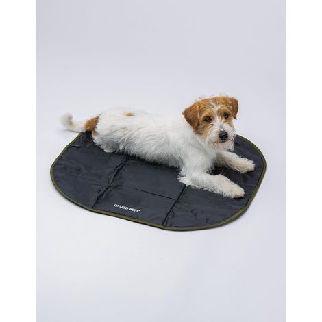 Lazy Dog Mat - Niche Portable pour Chien Pliable, Matelas de Restaurant et de Voyage, Tapis de Niche léger, Noir Vert (1/5)