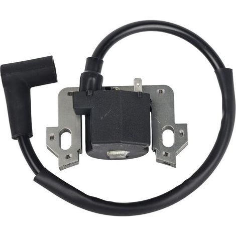 Module de bobine d'allumage de remplacement adapté au nouveau package haute tension GCV135 GCV160 GCV190 GSV160 (1/4)