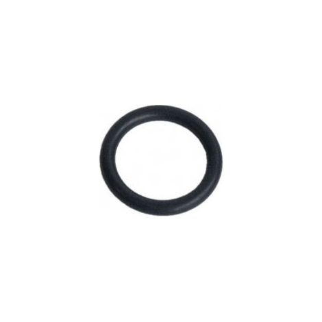 Lot de 2 joints de bouchon pour Centrale Vapeur ASTORIA 500583327