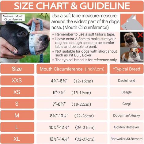 Filiyano-Muselière pour chien en nylon souple (grise, petite) - Ajustable et respirante M (1/5)