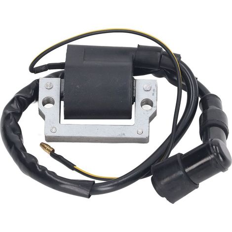 Bobine d'Allumage 12V pour XL185 XL XR 70 75 80 100 125 175 185 200 250 - Kit de Remplacement Matière ABS & Acier (1/5)