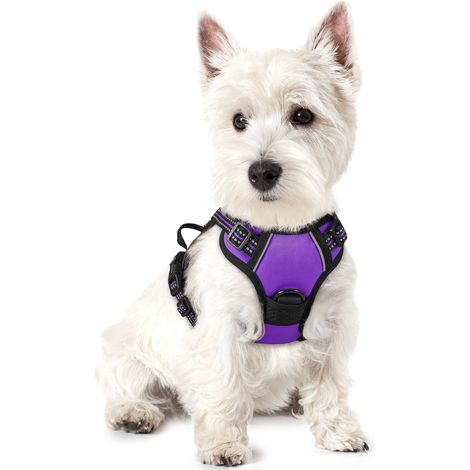 Lila Hundegeschirr, Größe S, Brustumfang 34–63 cm, 1 Stück, verstellbar, gepolstert, Hundeweste, Polyester, Haustierweste (1/5)