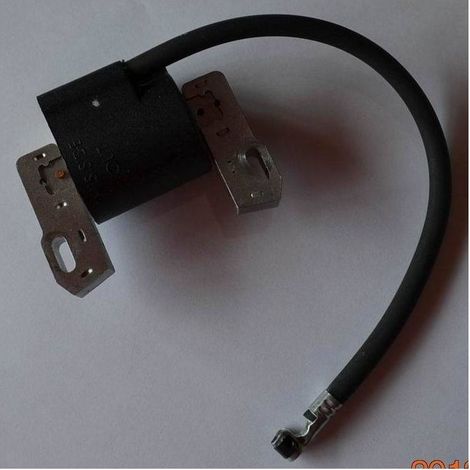 Allumage Briggs & Stratton 691060 799651 843931 844548 845606, allumeurs pour moteurs Briggs & Stratton. (1/4)