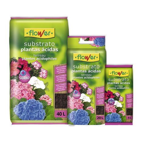 Piante acide sostituite da fiori, blocco con ASA, 20 litri