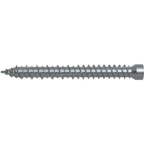 Fischer 100x vite telaio finestra FFSZ 7,5 x 112 mm T30 testa cilindrica - 532912