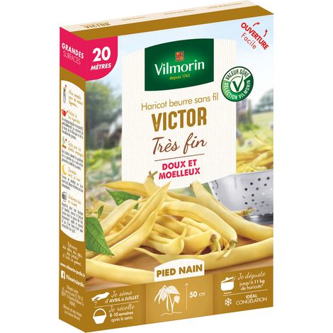 Graines de Haricot beurre sans fil VICTOR très fin (1/2)