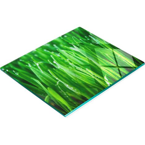 Vassoio decorativo in vetro con grafica a tema erba per servire snack, 60x52 cm (1/5)