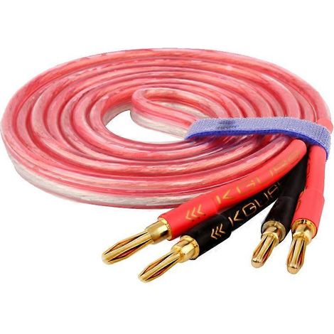 Câble d'enceinte HiFi plaqué or avec fiche banane 1 mètre