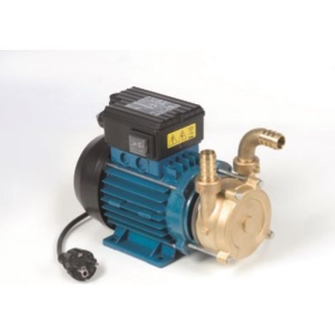 pompe de transfert A lectrique avec poignA e 1.0Hp transfert de vin 5160 lt / h