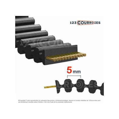 Courroie double dentée 425-DS5M15