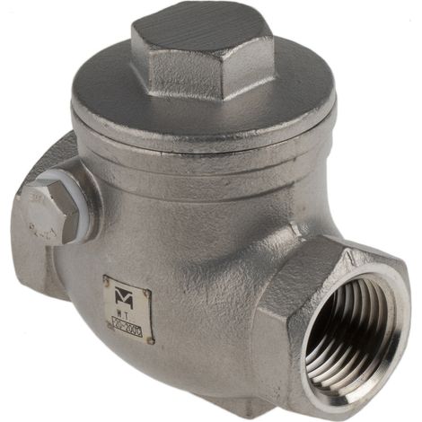 Clapet antiretour en Acier inoxydable RS PRO BSP 1/2" ( Prix pour 1 ) (1/4)