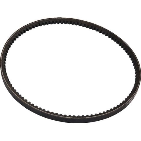 Cinghia trapezoidale OPTIBELT X696616102000AB