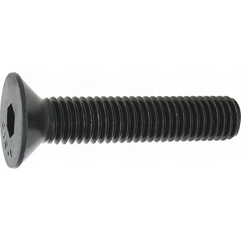 100 Vis métaux tête fraisée hexagonale creuse acier 10,9 Brut DIN7991 diamètre 10,0 mm - Longueur 25 mm mm - Diamètre 10 mm