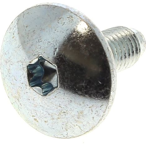 Vite torx m8x23 per lavatrice indesit (1/2)