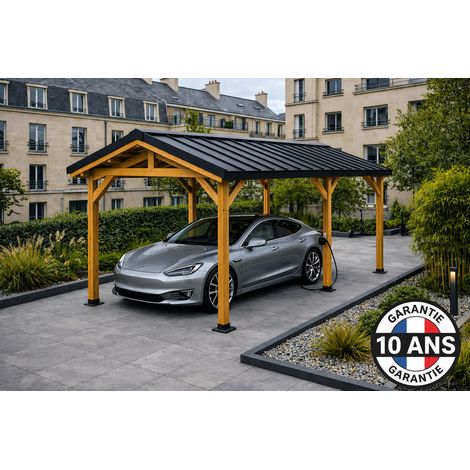 Carport bois Douglas 18 m² double pente avec couverture acier laqué ardoise garantie 10 ans (1/5)