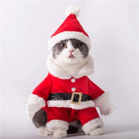 Weihnachtskleidung für Haustiere: Niedliche Weihnachtsmann-Katzenkleidung für Hunde mit Weihnachtsmannmütze (1/3)