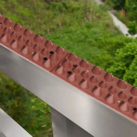 Dissuasori a Spillo Spilli Piccioni Plastica Per Uccelli Colombi Volatili 5 Mt (1/10)