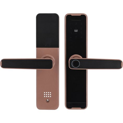 Serrure de porte biométrique à empreintes digitales poignée de porte intelligente électronique, mot de passe, carte magnétique, clé, programme temporaire, or Rose (1/5)