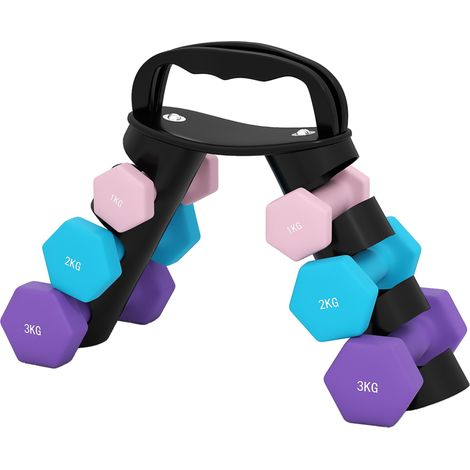 SPORTNOW Set 6 Manubri Fitness con Supporto in Metallo e PP Multicolore
