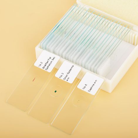 25 biologische Mikroskopie-Objektträger (Gläser) mit Box (1/5)