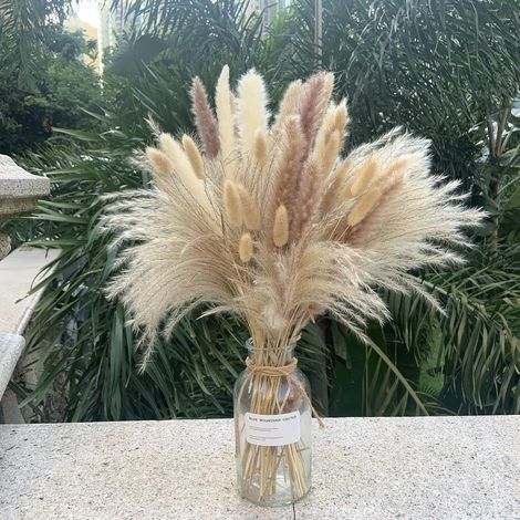 Pampas Grass - 80 Pièces Plumes Séchées Naturelles 45 cm - Blanc Brun Roseau Queue De Lapin - Décoration Intérieure Mariage Boho - Lot Complet (1/5)