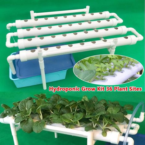 Senderpick – Système hydroponique 36 emplacements – Tube en PVC-U alimentaire – Économie d'eau et nutriments – Pour légumes et herbes à la maison