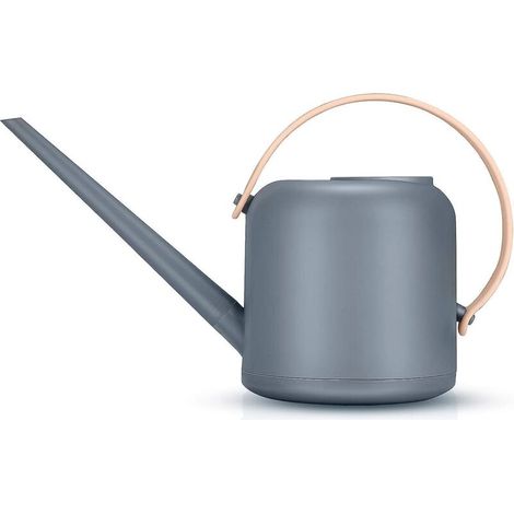 Arrosoir à bonsaï gris avec long bec amovible pour une utilisation intérieure et extérieure (1/5)