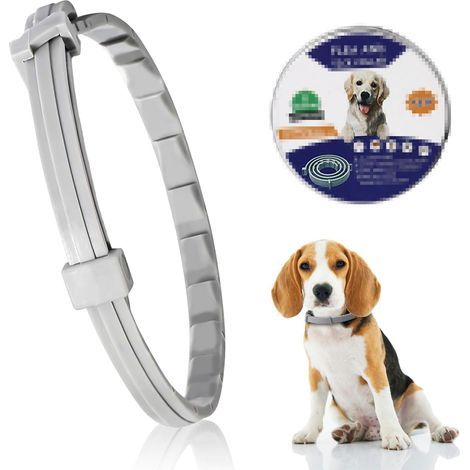 Collier Anti Puces pour Chien, Collier Anti Puces Et Anti Tique pour, 63cm, Longue Duree De Protection Collier Antiparasitaire,Naturel Collier Anti-Puce Chien pour Tous Types de Chiens. (1/5)