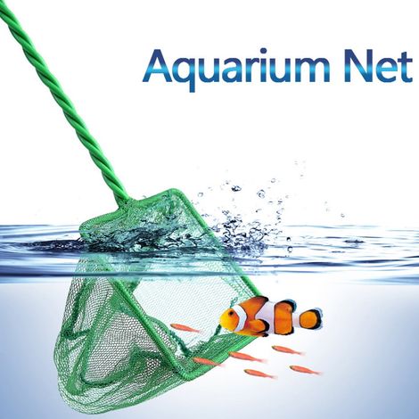 Filet De Pêche - Filet À Mailles Fines Pour Aquarium Et Bassin - Manche En Plastique - 15 Cm - 1 Pièce (1/5)