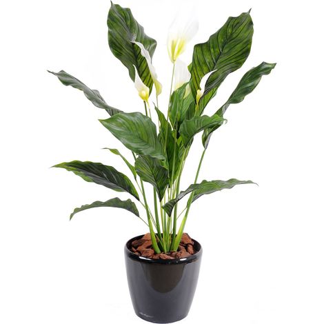 Plante artificielle haute gamme Spécial extérieur / SPATHIPHYLLUM Artificiel - Dim : 80 x 50 cm -PEGANE- (1/3)
