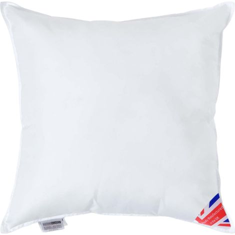HOMESCAPES Coussin de garnissage en Microfibre, 60 x 60 cm (1/5)