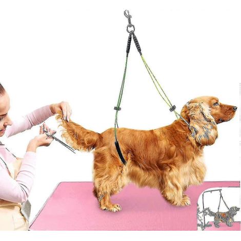 Corde générique pour table de toilettage pour animaux de compagnie, laisse de toilettage pour animaux de compagnie, support pour cou et jarret, boucle de toilettage pour chien (1/3)