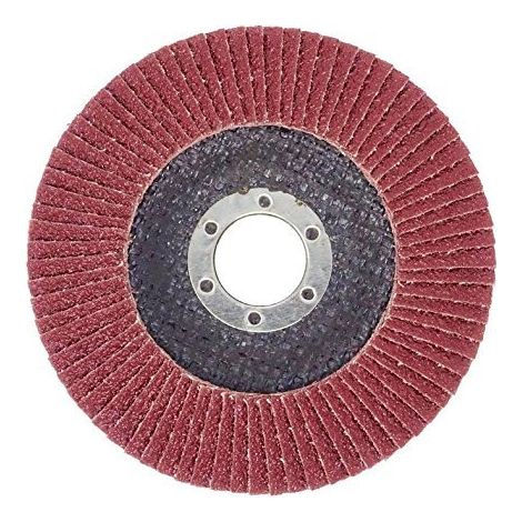 Lot de 10 disques abrasifs à lamelles, Ø 125 mm x 22,23 mm, grain 40, brun, usage standard, idéal pour ponçage et finition. (1/4)