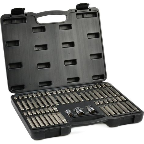SERIE SET 75PZ CHIAVI A BUSSOLA ESAGONALI TORX SPLINE MILLERIGHE RIBE GEKO (1/4)